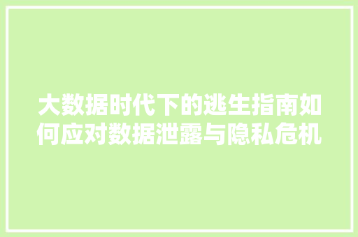 大数据时代下的逃生指南如何应对数据泄露与隐私危机