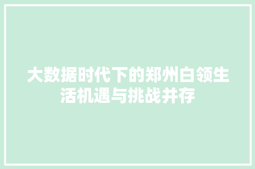 大数据时代下的郑州白领生活机遇与挑战并存 友链在线