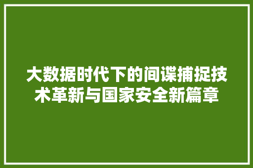 大数据时代下的间谍捕捉技术革新与国家安全新篇章
