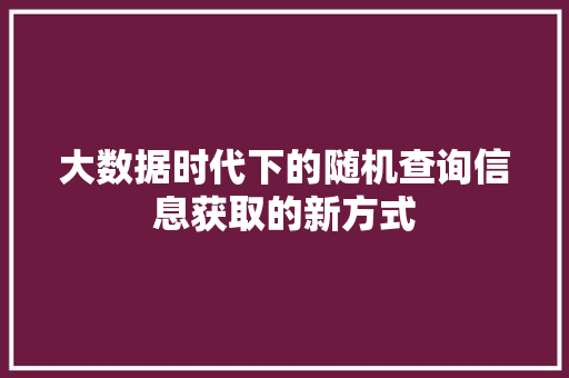 大数据时代下的随机查询信息获取的新方式