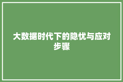 大数据时代下的隐忧与应对步骤 Web前端