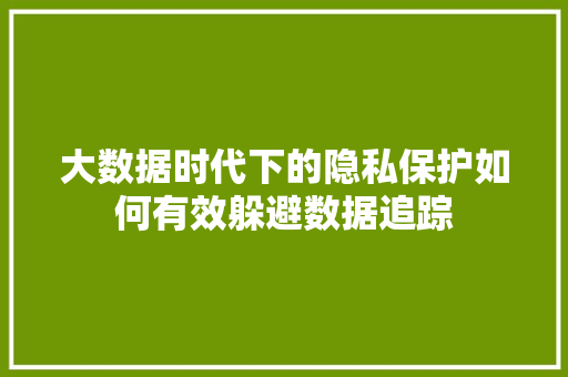 大数据时代下的隐私保护如何有效躲避数据追踪