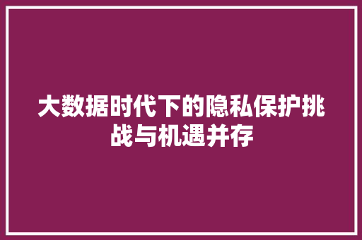 大数据时代下的隐私保护挑战与机遇并存