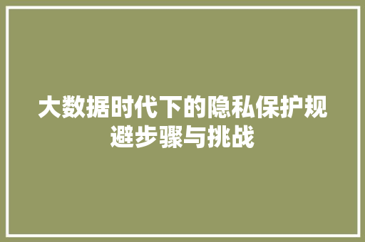 大数据时代下的隐私保护规避步骤与挑战