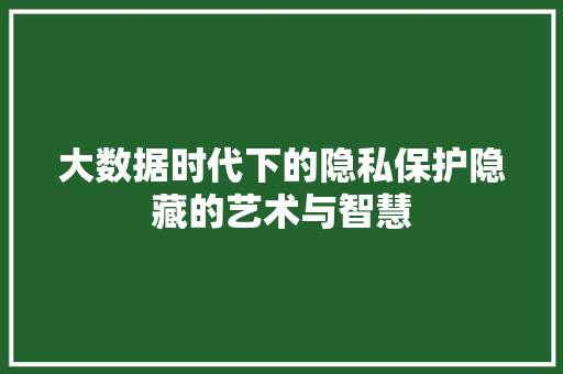 大数据时代下的隐私保护隐藏的艺术与智慧