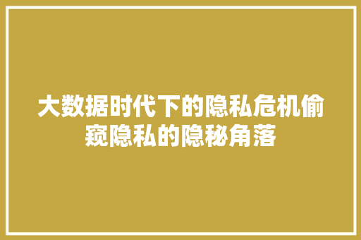 大数据时代下的隐私危机偷窥隐私的隐秘角落
