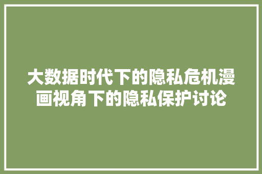 大数据时代下的隐私危机漫画视角下的隐私保护讨论