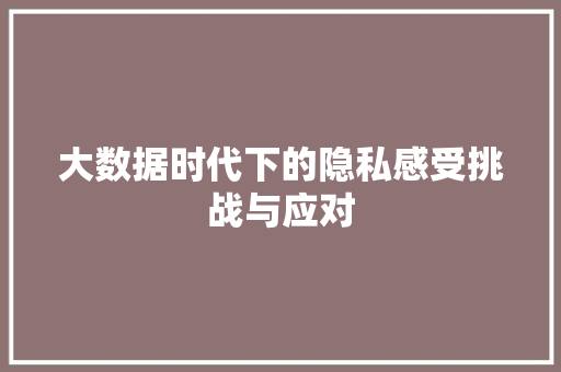 大数据时代下的隐私感受挑战与应对
