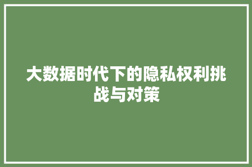 大数据时代下的隐私权利挑战与对策 友链在线 大数据时代下的隐私权利挑战与对策 友链在线
