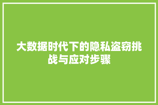 大数据时代下的隐私盗窃挑战与应对步骤