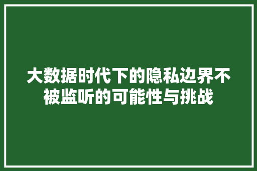 大数据时代下的隐私边界不被监听的可能性与挑战