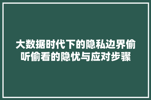 大数据时代下的隐私边界偷听偷看的隐忧与应对步骤 Web前端