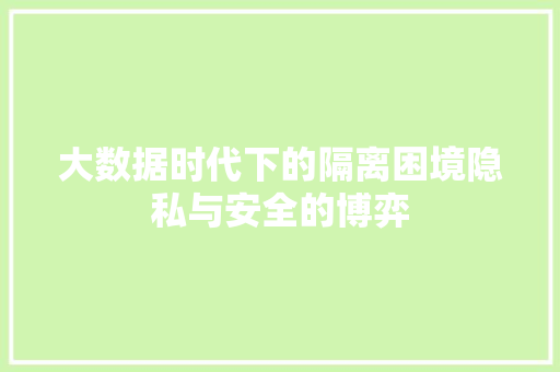 大数据时代下的隔离困境隐私与安全的博弈