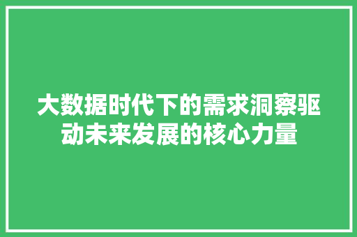 大数据时代下的需求洞察驱动未来发展的核心力量