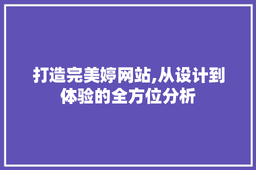 打造完美婷网站,从设计到体验的全方位分析