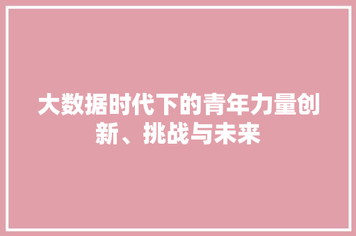 大数据时代下的青年力量创新、挑战与未来