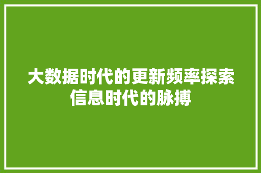 大数据时代的更新频率探索信息时代的脉搏