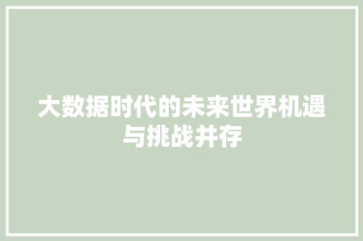 大数据时代的未来世界机遇与挑战并存