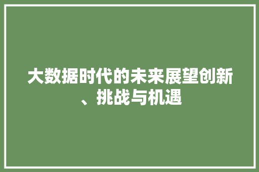 大数据时代的未来展望创新、挑战与机遇