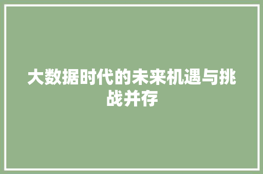 大数据时代的未来机遇与挑战并存