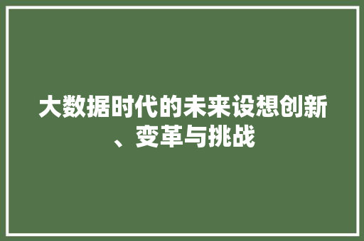 大数据时代的未来设想创新、变革与挑战
