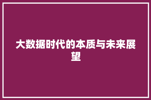 大数据时代的本质与未来展望