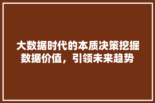 大数据时代的本质决策挖掘数据价值，引领未来趋势