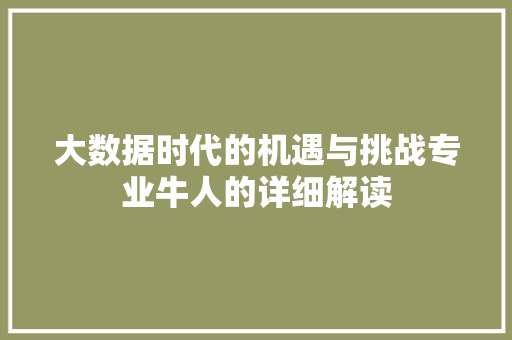 大数据时代的机遇与挑战专业牛人的详细解读