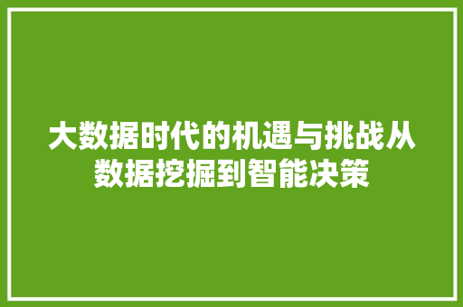 大数据时代的机遇与挑战从数据挖掘到智能决策 Web前端
