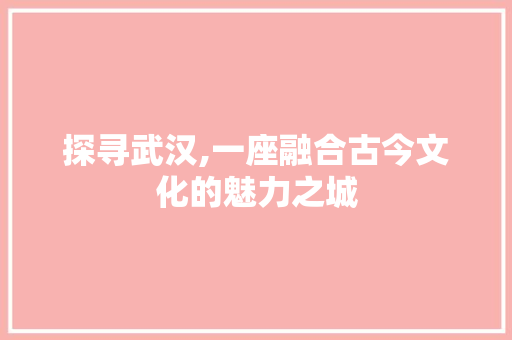 探寻武汉,一座融合古今文化的魅力之城