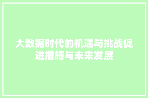 大数据时代的机遇与挑战促进措施与未来发展