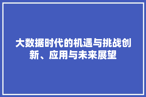 大数据时代的机遇与挑战创新、应用与未来展望