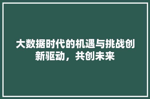 大数据时代的机遇与挑战创新驱动，共创未来
