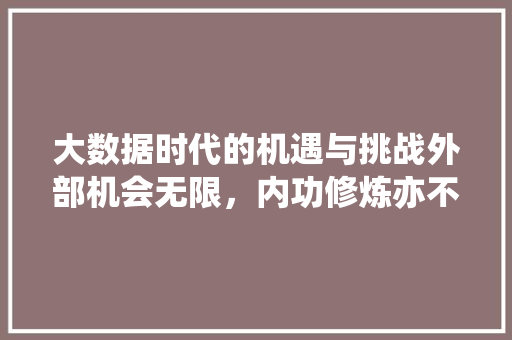 大数据时代的机遇与挑战外部机会无限，内功修炼亦不可或缺