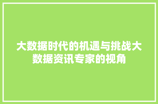 大数据时代的机遇与挑战大数据资讯专家的视角
