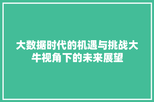 大数据时代的机遇与挑战大牛视角下的未来展望