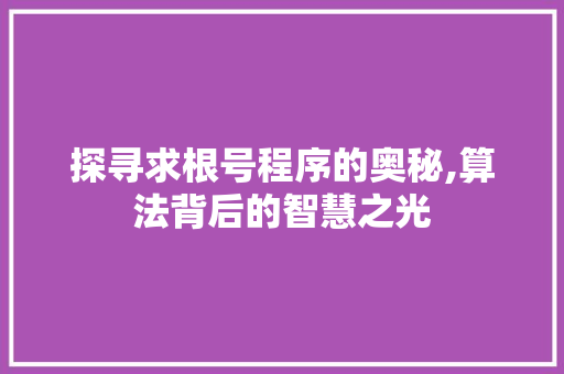 探寻求根号程序的奥秘,算法背后的智慧之光