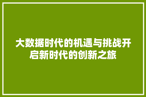 大数据时代的机遇与挑战开启新时代的创新之旅