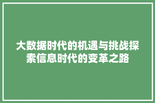 大数据时代的机遇与挑战探索信息时代的变革之路
