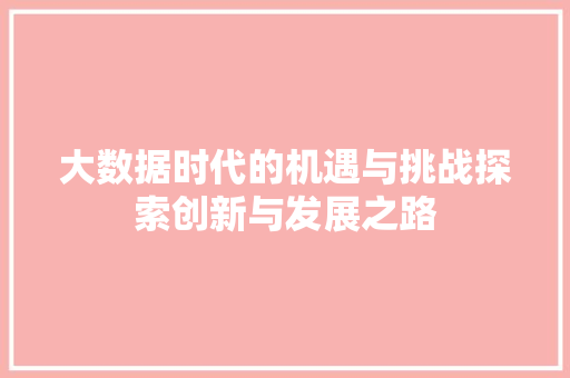 大数据时代的机遇与挑战探索创新与发展之路