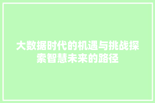 大数据时代的机遇与挑战探索智慧未来的路径