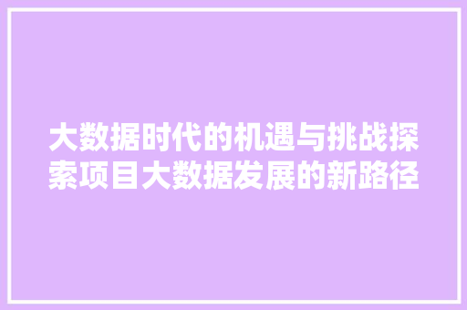 大数据时代的机遇与挑战探索项目大数据发展的新路径