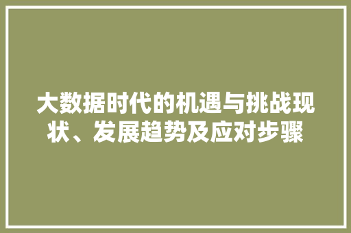 大数据时代的机遇与挑战现状、发展趋势及应对步骤