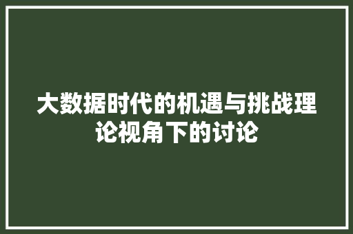 大数据时代的机遇与挑战理论视角下的讨论