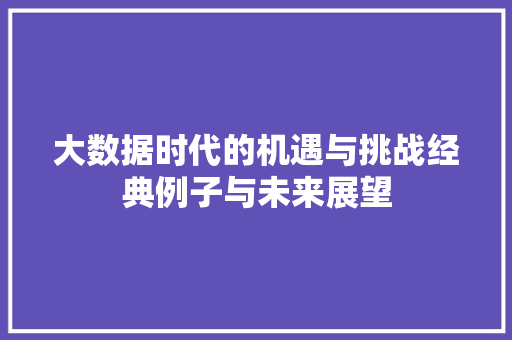 大数据时代的机遇与挑战经典例子与未来展望