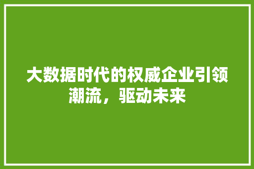 大数据时代的权威企业引领潮流，驱动未来