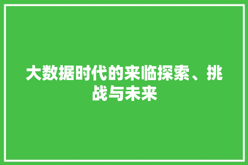 大数据时代的来临探索、挑战与未来