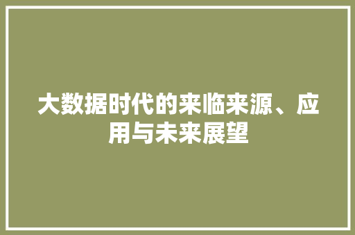 大数据时代的来临来源、应用与未来展望