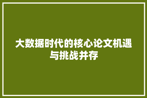 大数据时代的核心论文机遇与挑战并存
