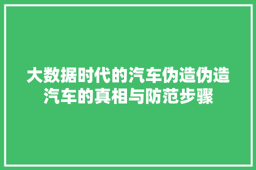 大数据时代的汽车伪造伪造汽车的真相与防范步骤